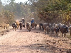 Bolikhamxay Laos